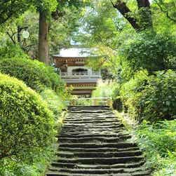 トリップアドバイザー提供