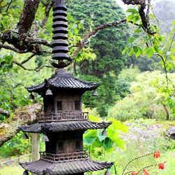 トリップアドバイザー提供