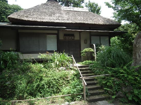 トリップアドバイザー提供