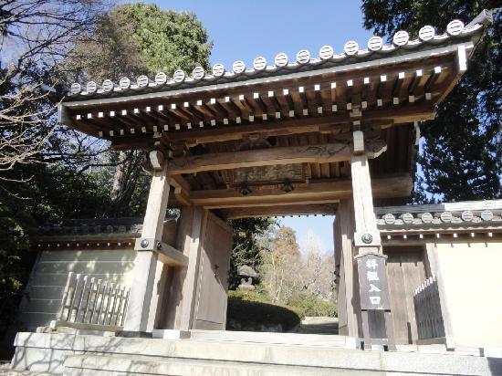 トリップアドバイザー提供