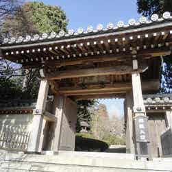 トリップアドバイザー提供