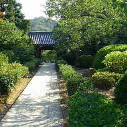 トリップアドバイザー提供