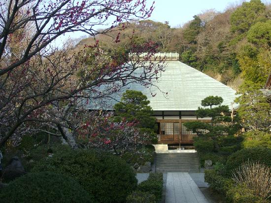 トリップアドバイザー提供