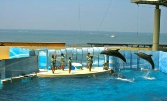 トリップアドバイザー提供