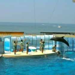 トリップアドバイザー提供