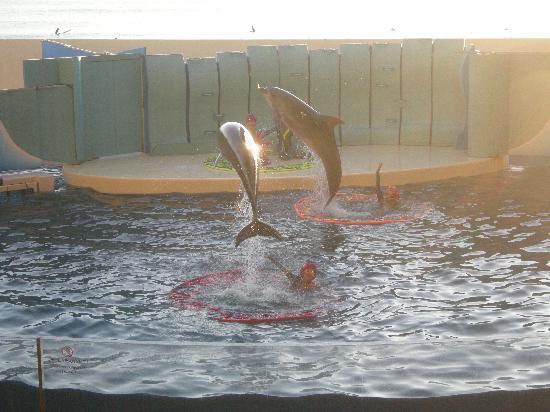 トリップアドバイザー提供