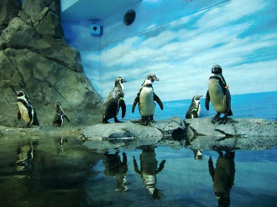 トリップアドバイザー提供