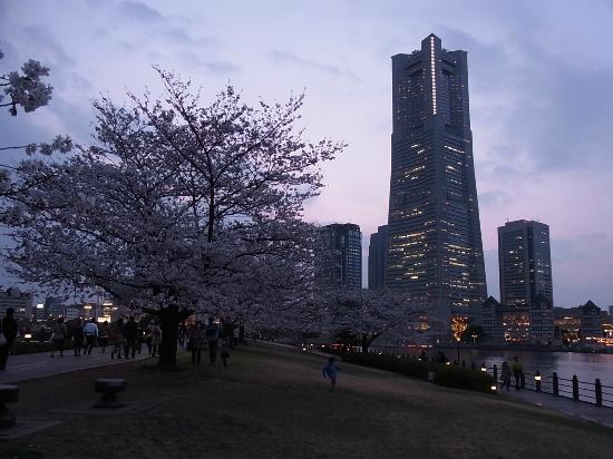 トリップアドバイザー提供