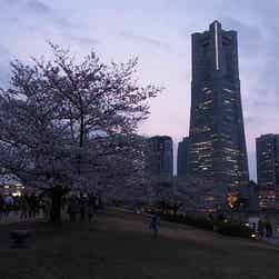 トリップアドバイザー提供