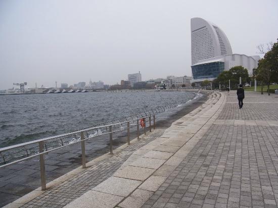 トリップアドバイザー提供