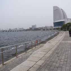 トリップアドバイザー提供