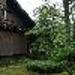 トリップアドバイザー提供