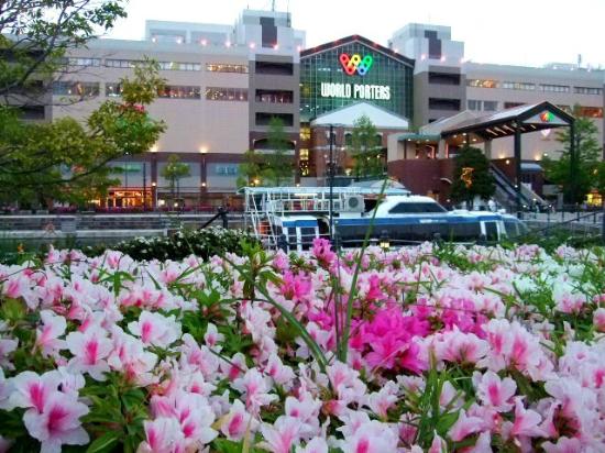 トリップアドバイザー提供