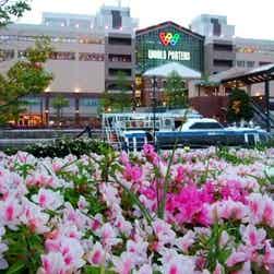 トリップアドバイザー提供