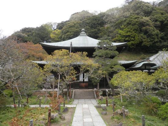 トリップアドバイザー提供