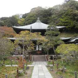 トリップアドバイザー提供