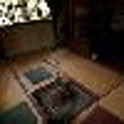 トリップアドバイザー提供