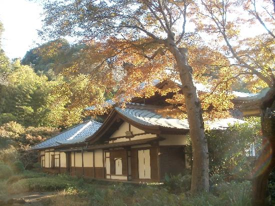 トリップアドバイザー提供