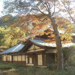 トリップアドバイザー提供