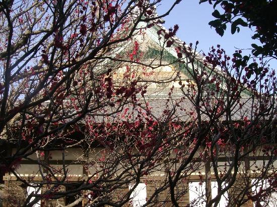 トリップアドバイザー提供