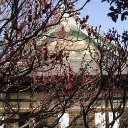 トリップアドバイザー提供