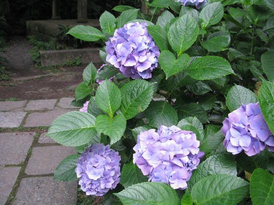 トリップアドバイザー提供