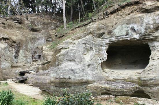 トリップアドバイザー提供