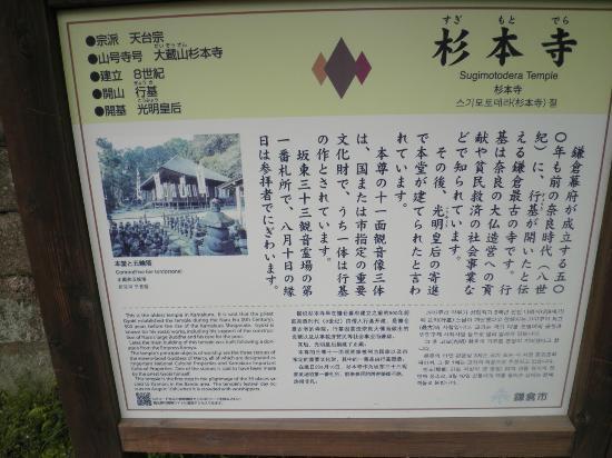 トリップアドバイザー提供