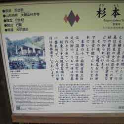 トリップアドバイザー提供