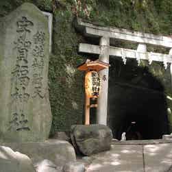 トリップアドバイザー提供