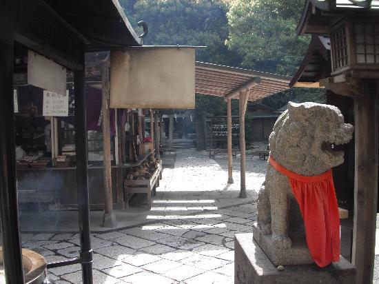 トリップアドバイザー提供