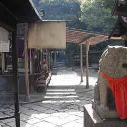 トリップアドバイザー提供