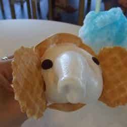 トリップアドバイザー提供