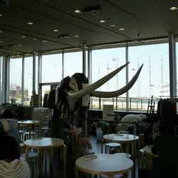 トリップアドバイザー提供