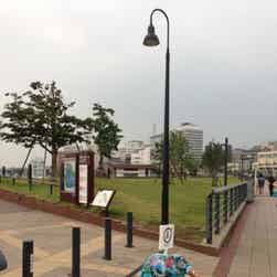 トリップアドバイザー提供