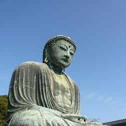 トリップアドバイザー提供