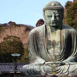 トリップアドバイザー提供