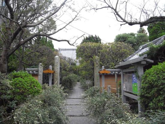 トリップアドバイザー提供