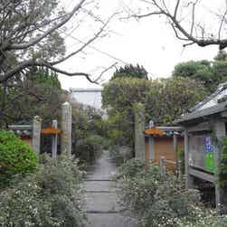 トリップアドバイザー提供