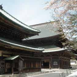 トリップアドバイザー提供