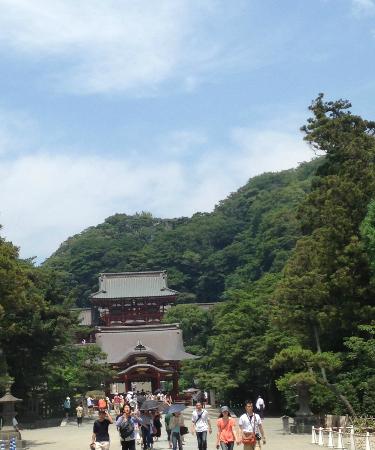 トリップアドバイザー提供