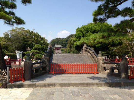 トリップアドバイザー提供