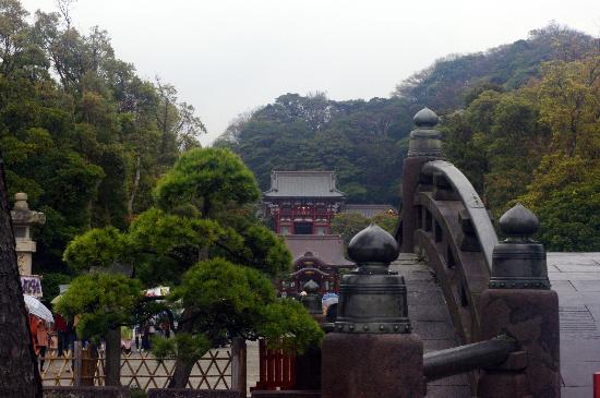 トリップアドバイザー提供