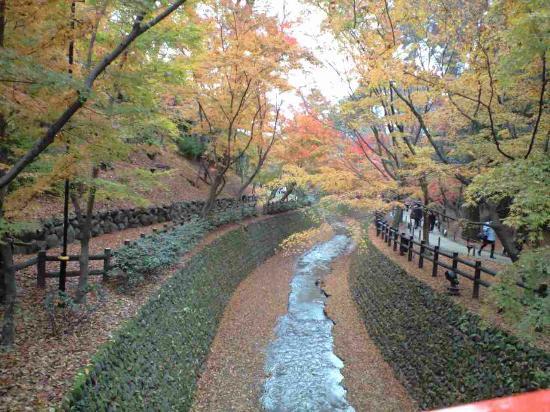 トリップアドバイザー提供