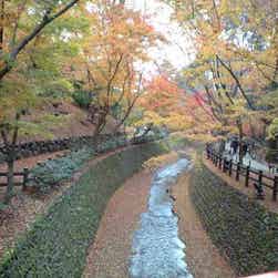 トリップアドバイザー提供