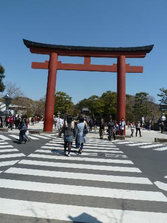 トリップアドバイザー提供