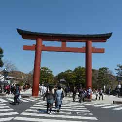 トリップアドバイザー提供