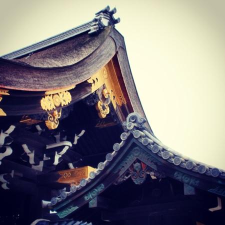 トリップアドバイザー提供