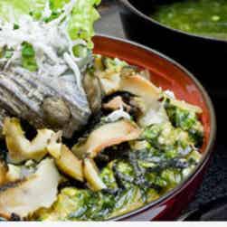 トリップアドバイザー提供