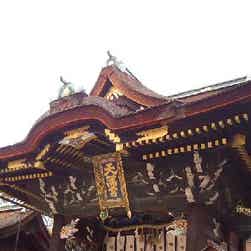 トリップアドバイザー提供